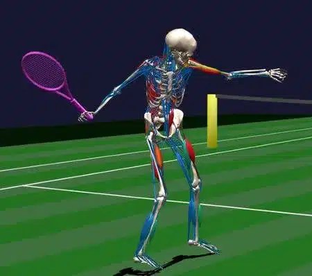motion tracking en capture example